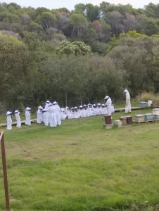 Experiència apícola guiada a Santa Eulàlia de Ronçana — Can Monràs Nou