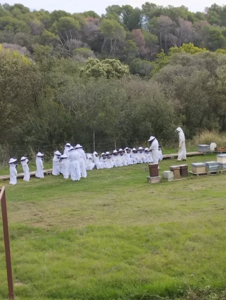 Experiència apícola guiada a Santa Eulàlia de Ronçana — Can Monràs Nou