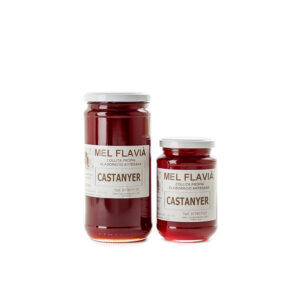 Mel artesana de castanyer — Mel Flavià