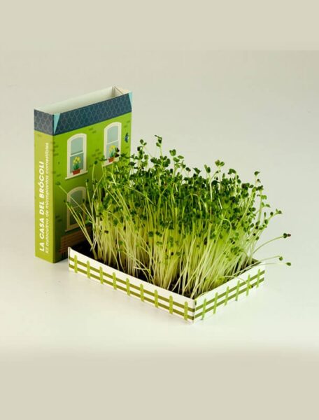 Mini hort de bròquil - Be Creative Andorra