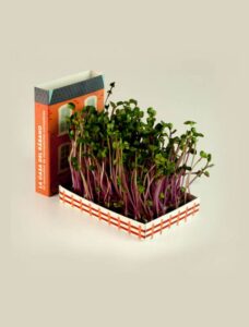 Mini hort de rave - Be Creative Andorra