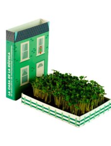 Mini hort de ruca - Be Creative Andorra