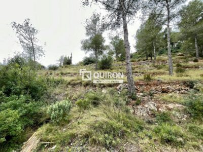 Terreny de 1.064 m² a la Bisbal del Penedès — Quiron ref. 2166
