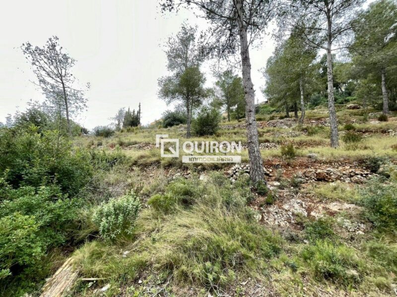Terreny de 1.064 m² a la Bisbal del Penedès — Quiron ref. 2166
