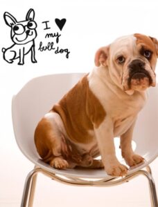 Vinil decoratiu Bulldog negre de 28 × 31 cm